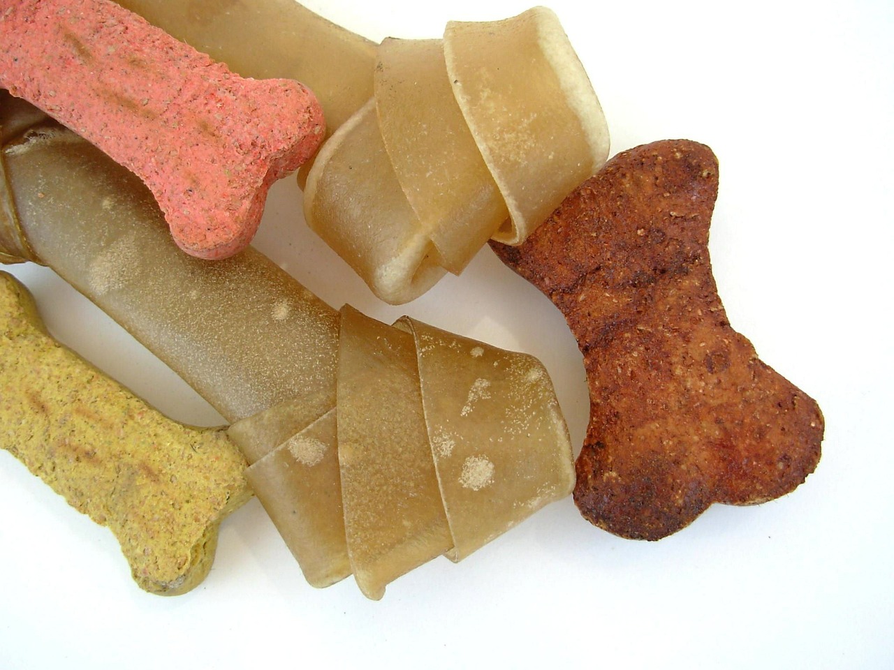 Frozen Dog Treats for Summer