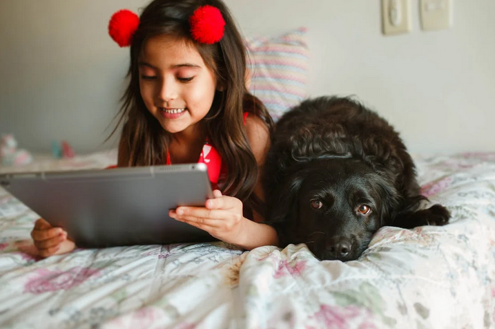 How to Raise a Well-Behaved Dog