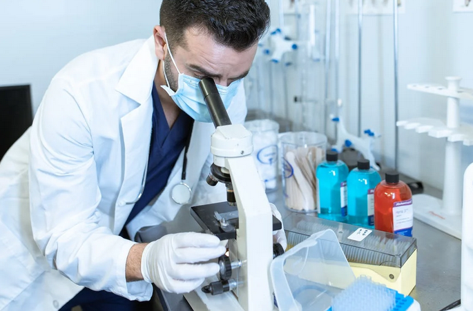 lab