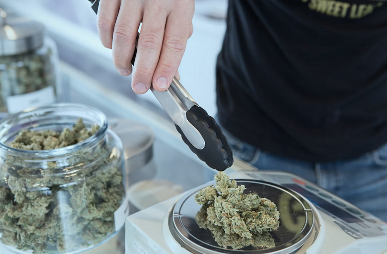 weed